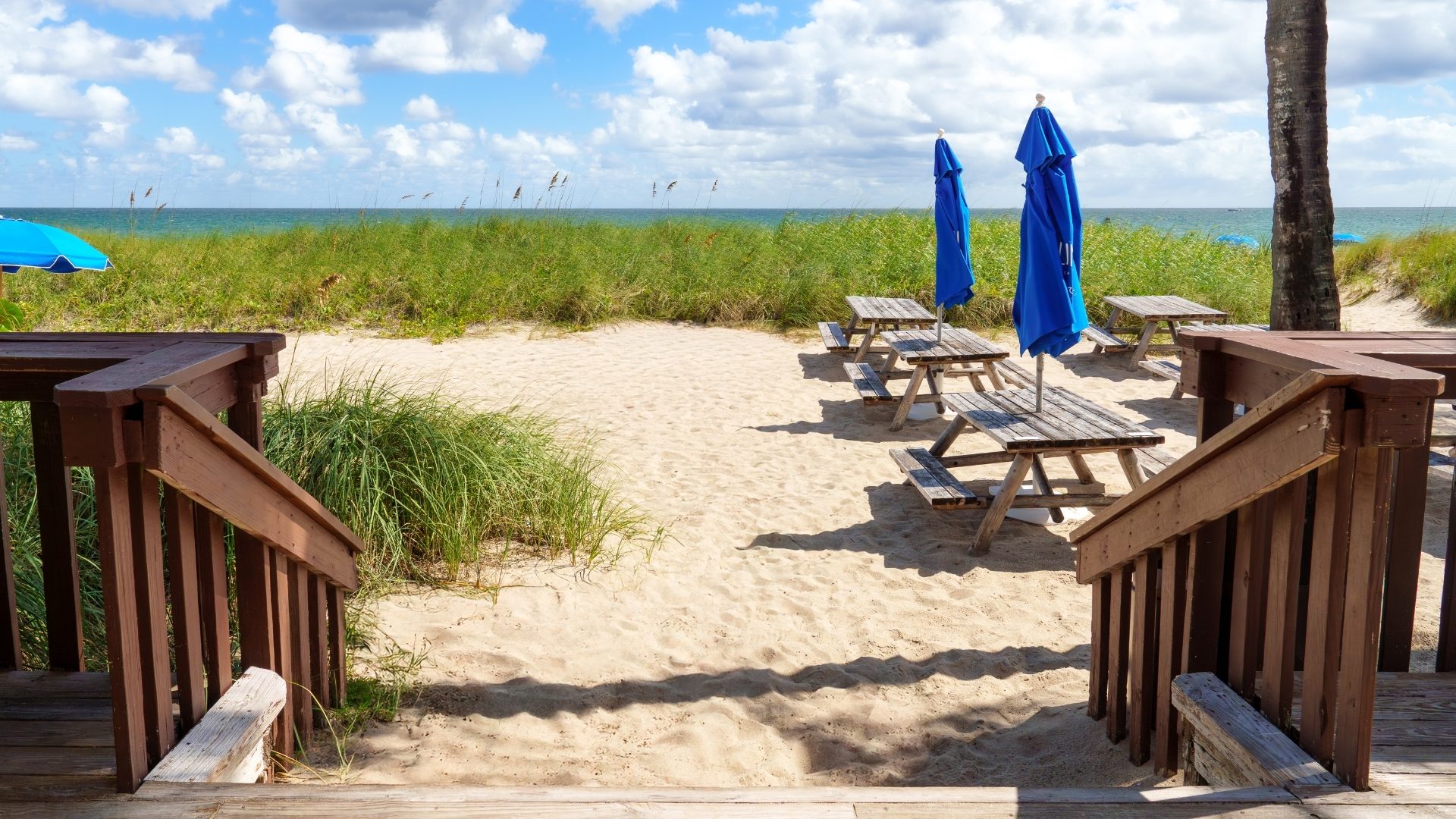 a picnic tables and umbrellas on a beach