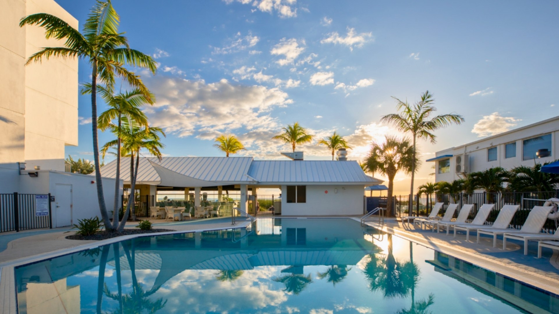 a pool with palm trees and a building