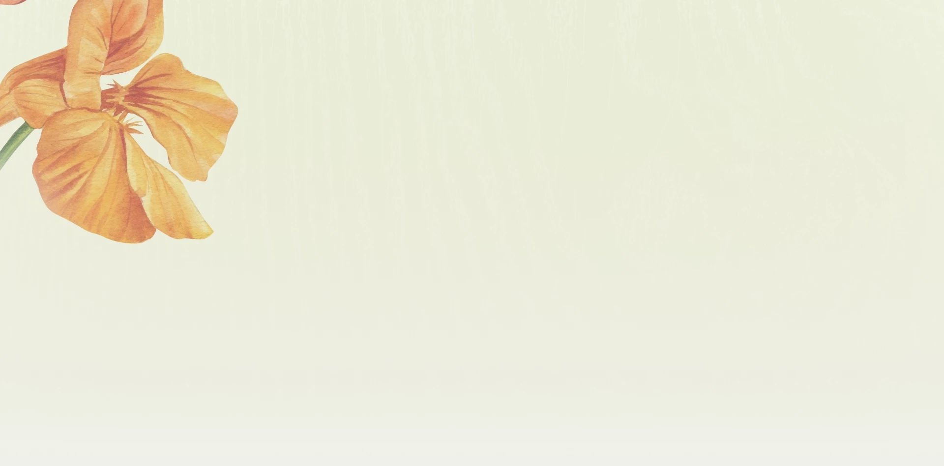 Intro extended background