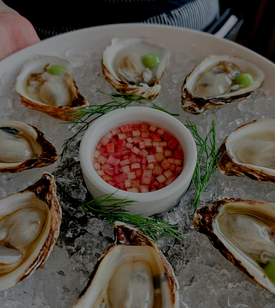 a plate of oysters on ice