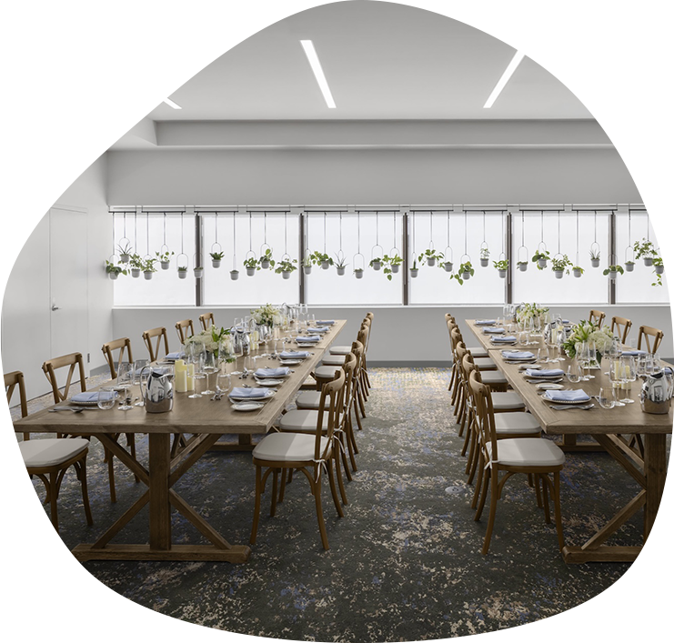 a room with long tables and chairs