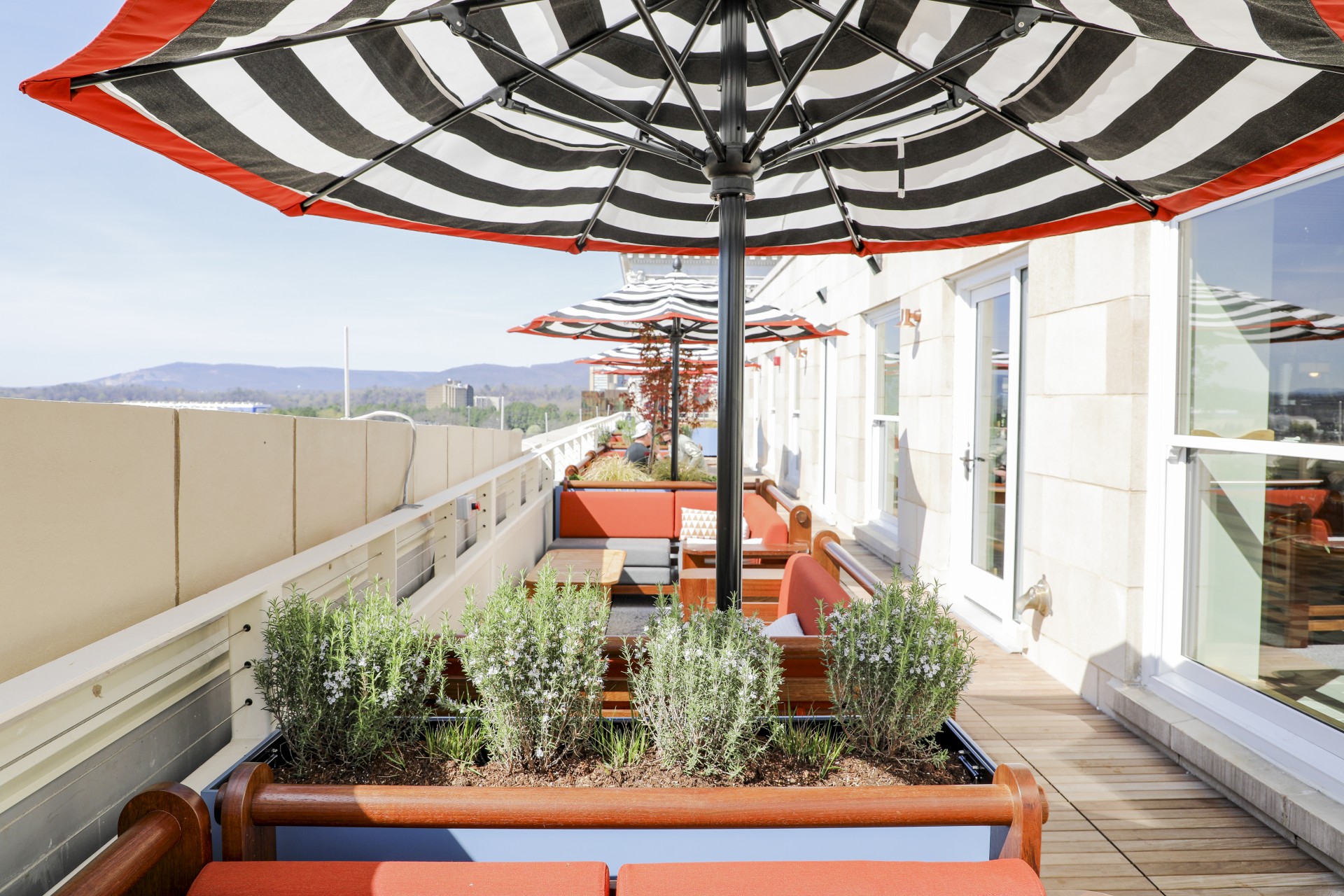 a patio with a black and white umbrella and plants