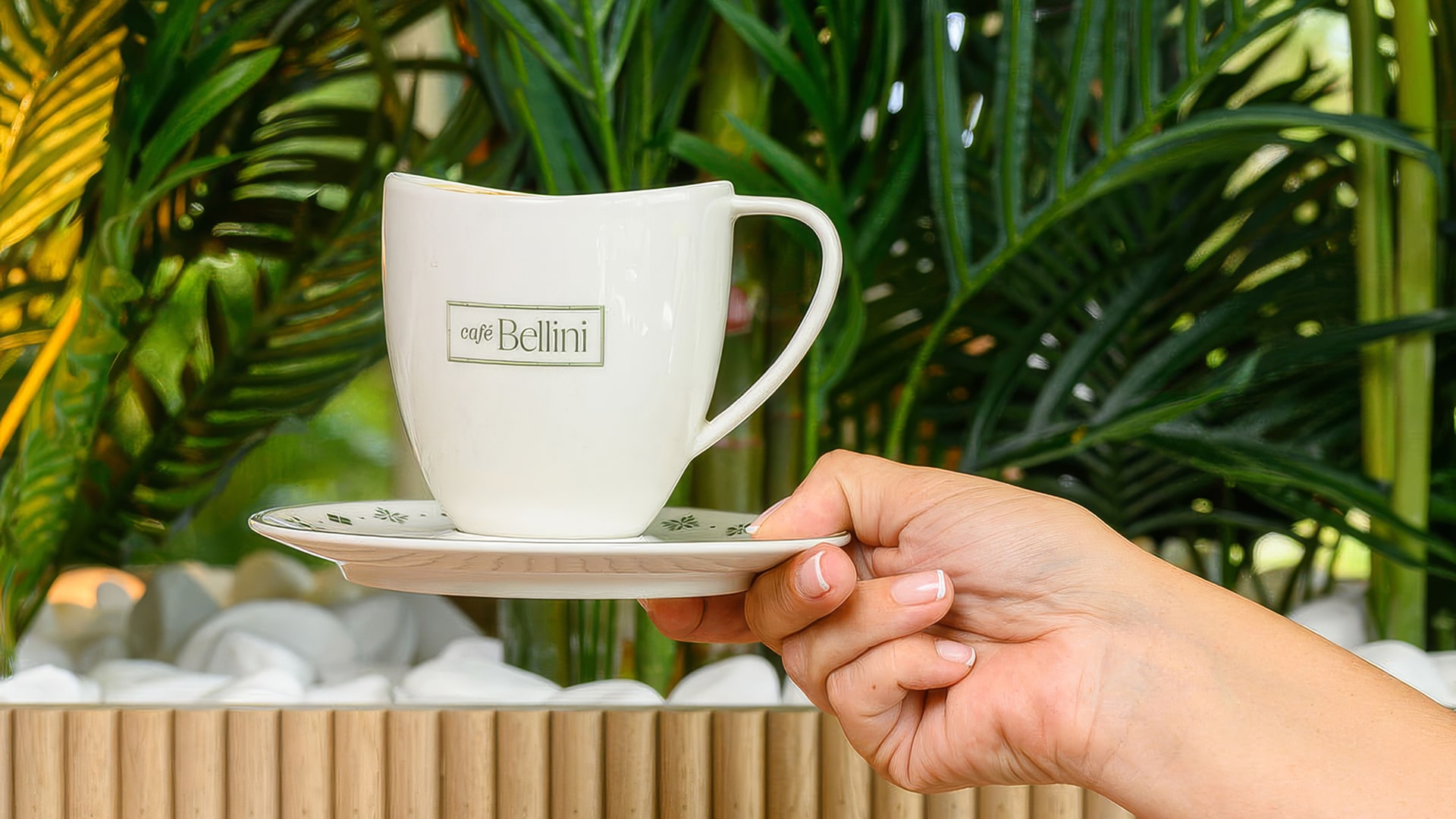 a hand holding a white cup