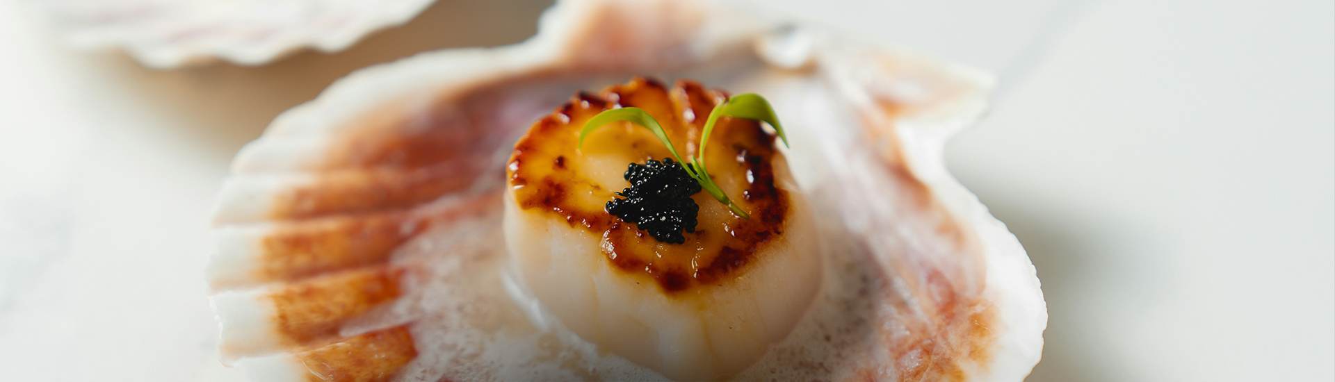 a close up of a sea shell