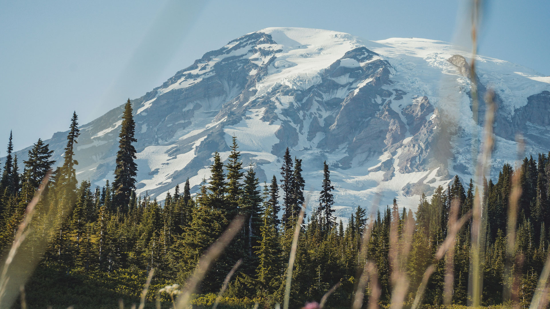 a snow covered mountain with trees in front of it