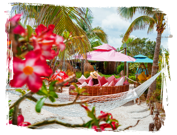 a hammock with pink pillows and umbrellas on a beach
