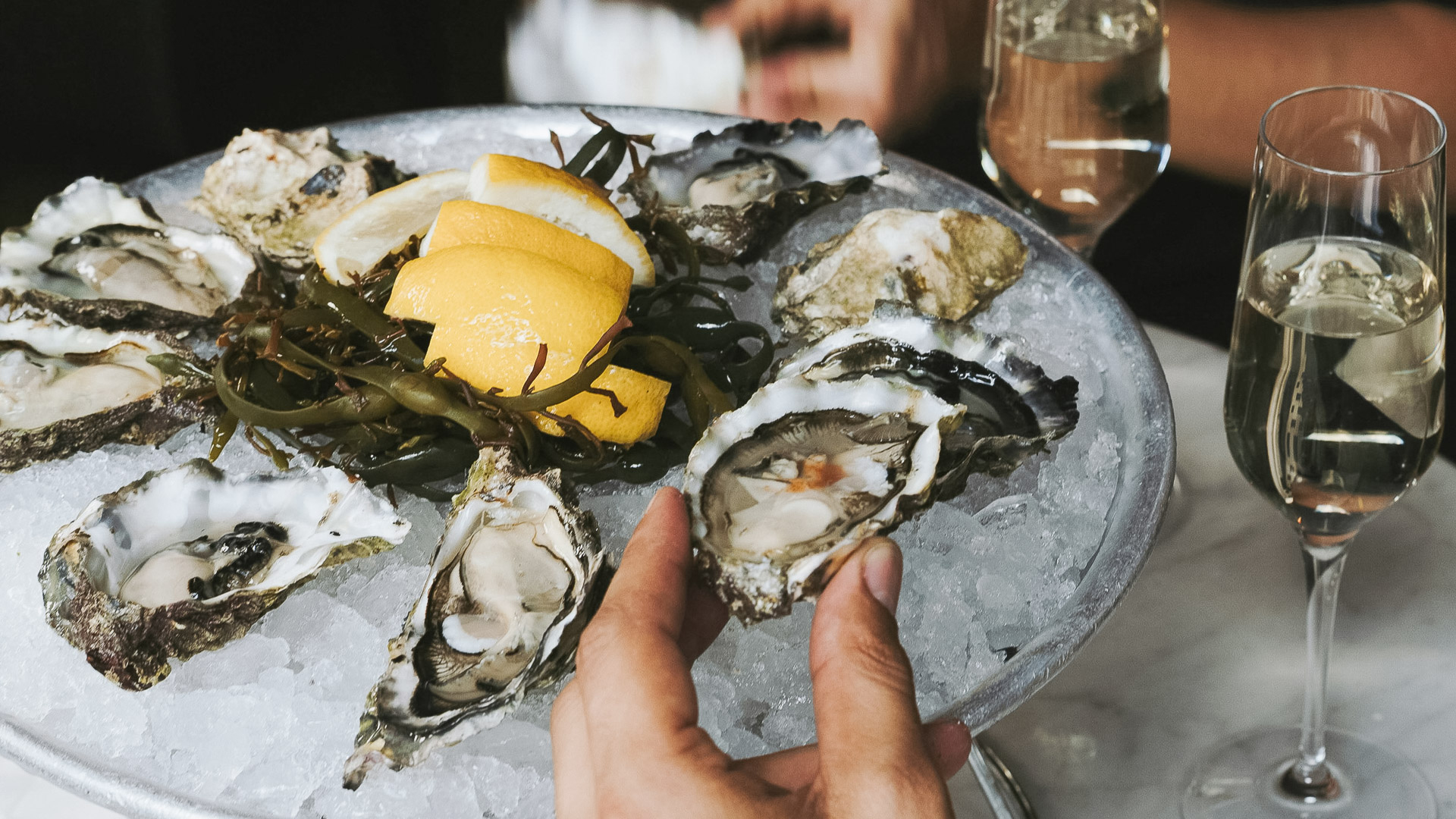 a hand holding a oyster on a plate of ice