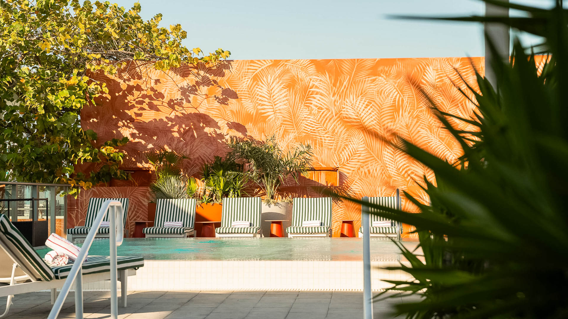 a pool with chairs and trees in the background