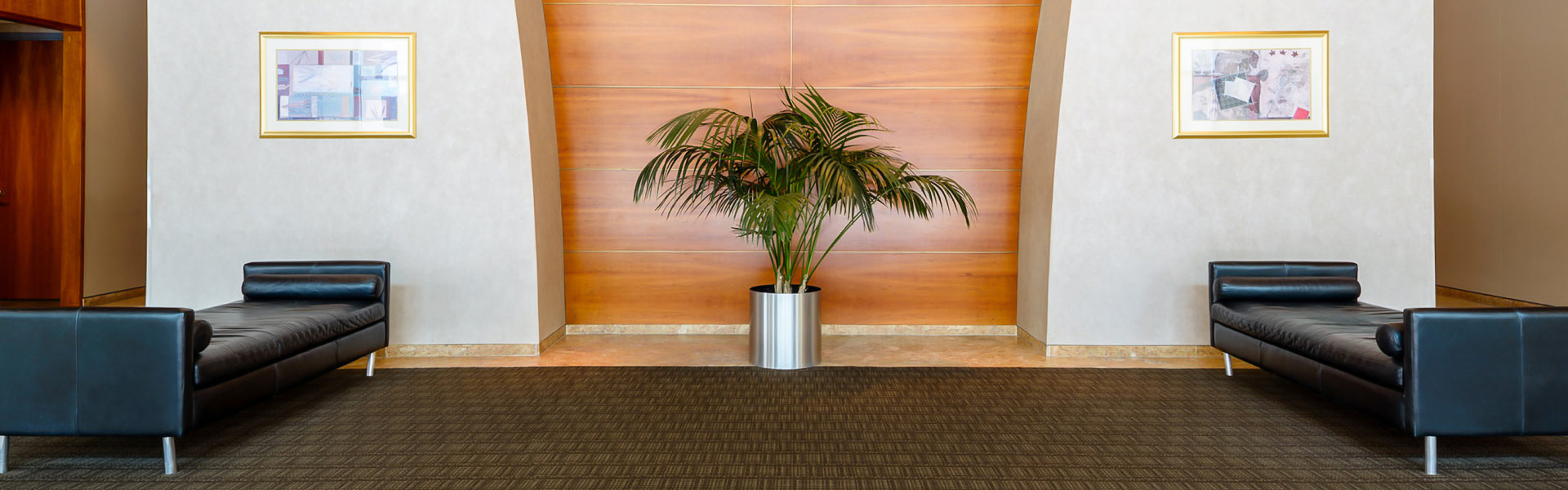 a potted plant in a room