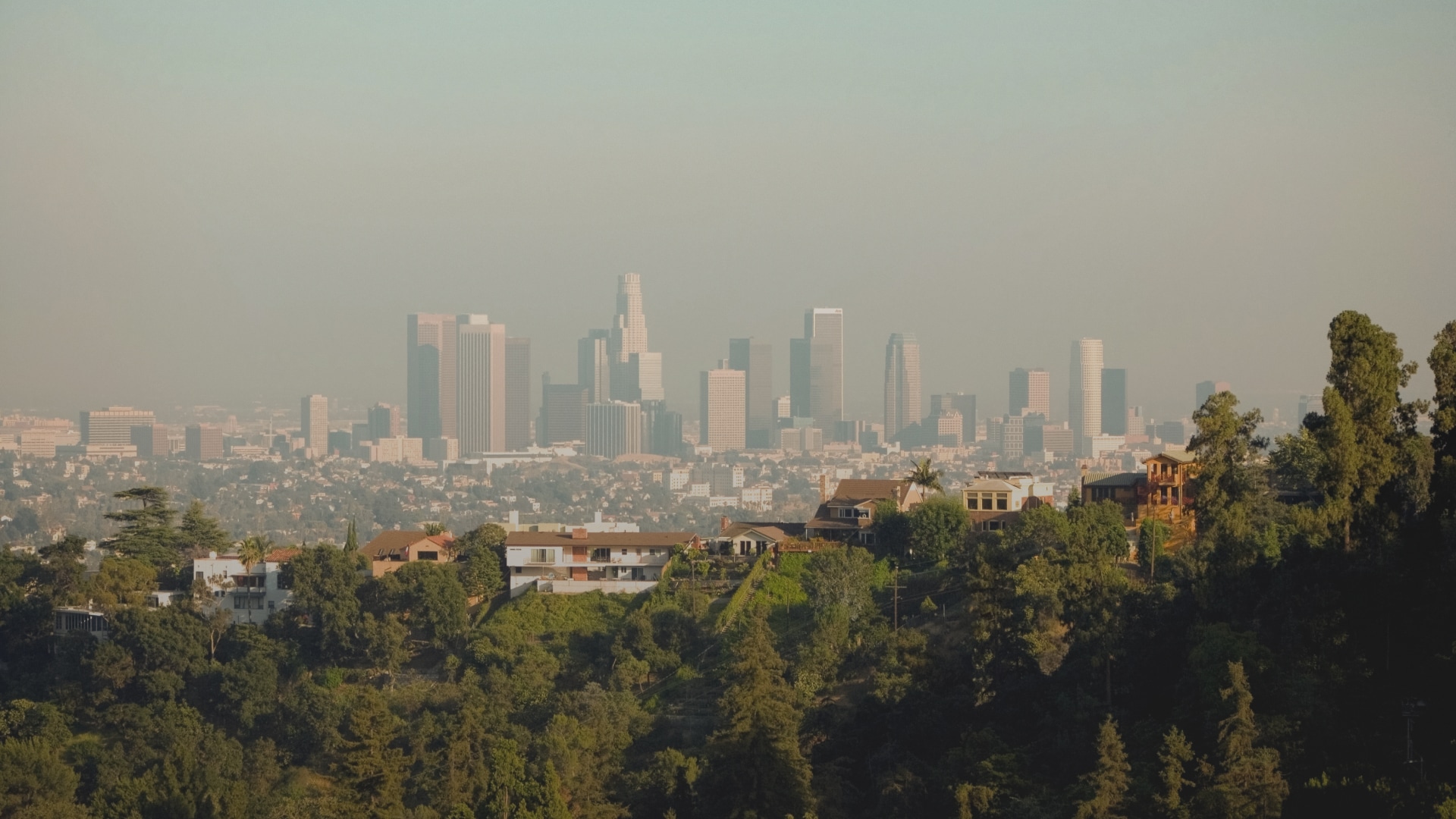 a city with trees and buildings in the background