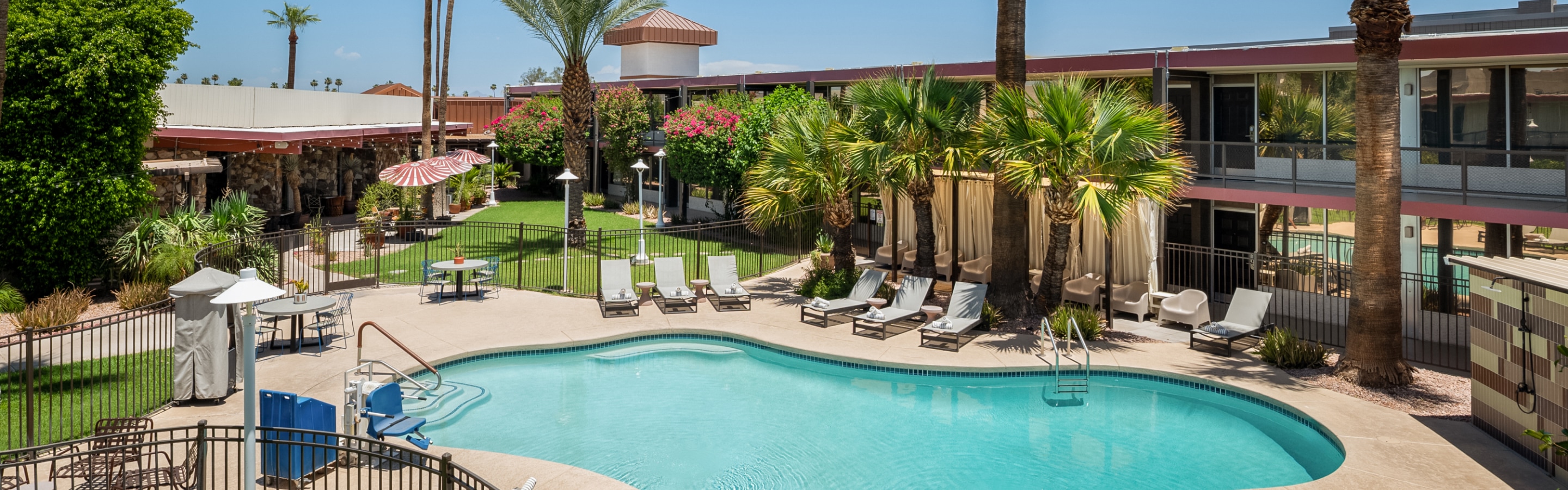 a pool with lounge chairs and palm trees