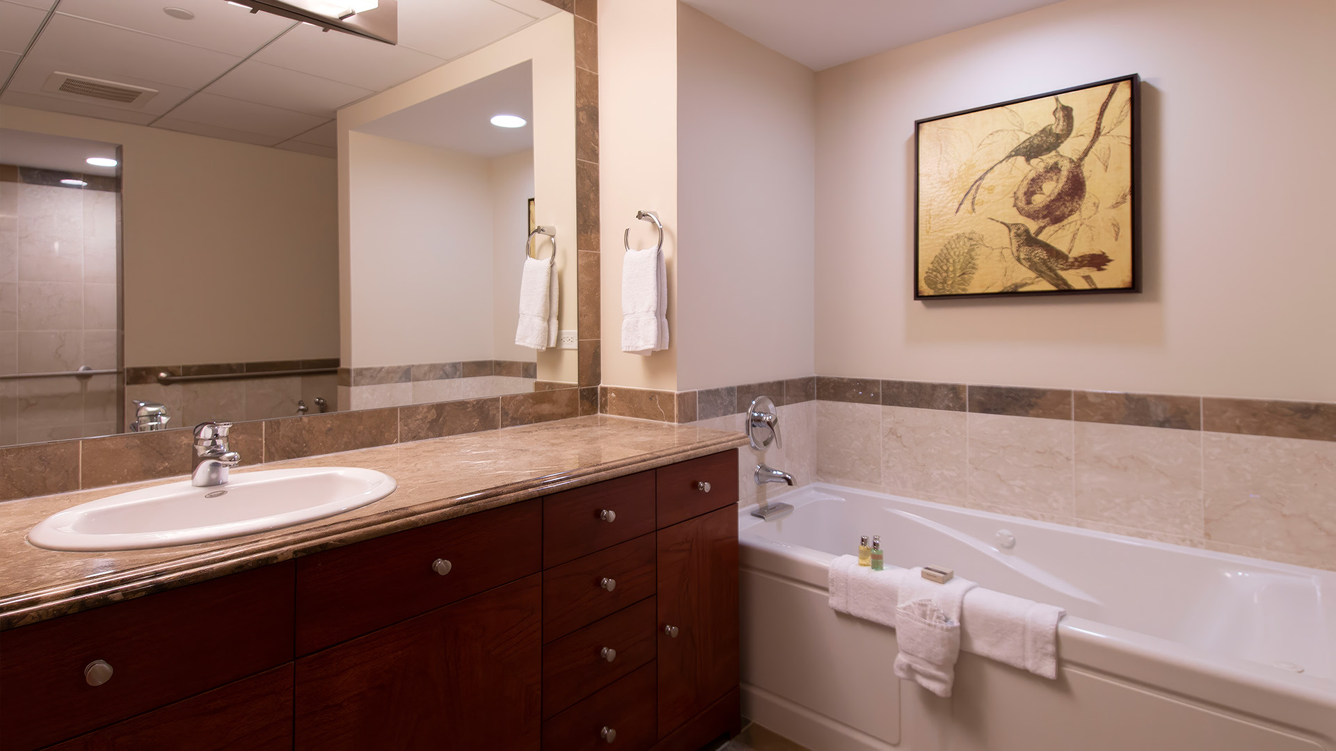 a bathroom with a sink and a bathtub