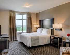 a room with a bed and a window