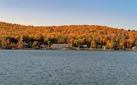 a body of water with trees in the background