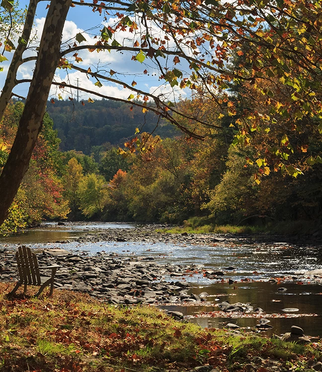a bench on the shore of a river