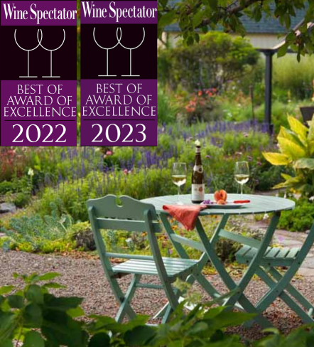 a table and chairs in a garden