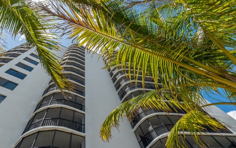 Pointe Estero