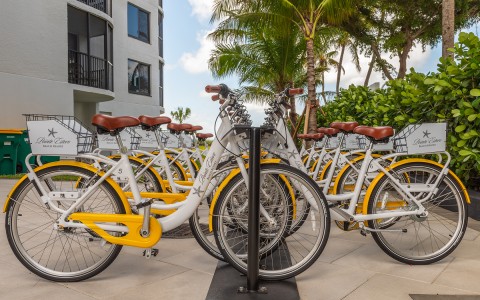 a group of bicycles parked in a row
