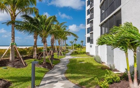 a walkway between palm trees