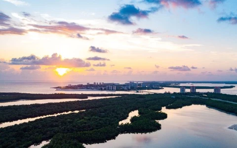 a body of water with trees and buildings in the distance