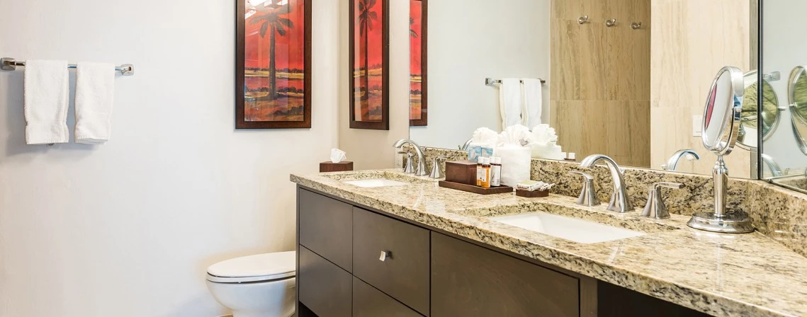 a bathroom with a marble countertop and a toilet