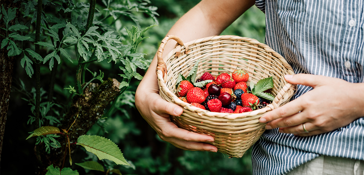 a person holding a basket of berries
