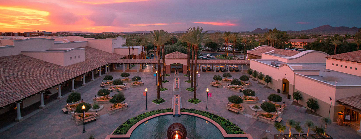 view of the patio with a fountain and palm trees