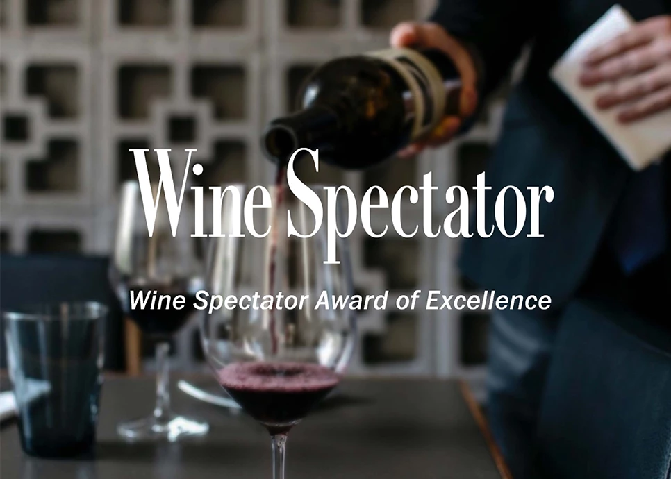 a person pouring wine into a glass