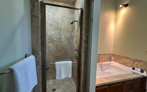 a bathroom with a shower and bathtub