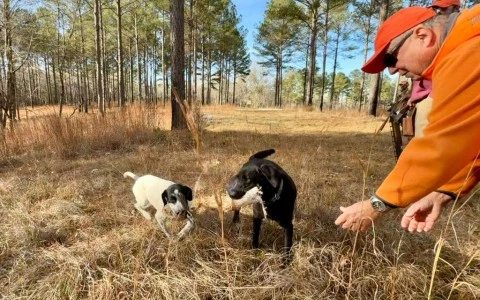a man with a dog in a field