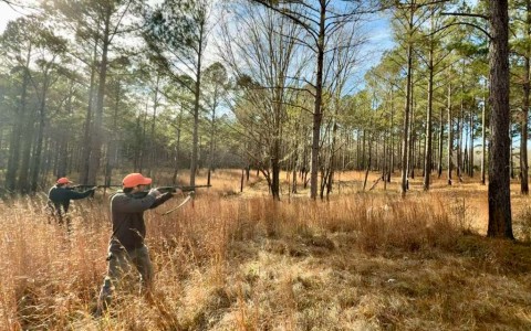 a group of men in a field with guns