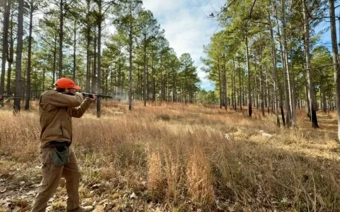 a man shooting a gun in a forest
