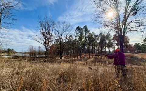 a person holding a gun in a field