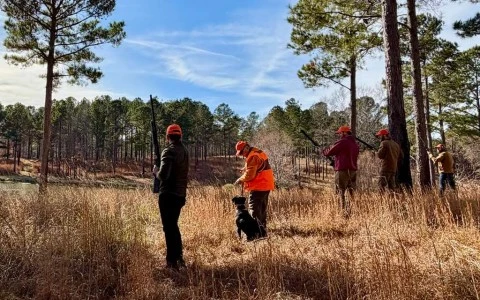 a group of men with a dog in a field