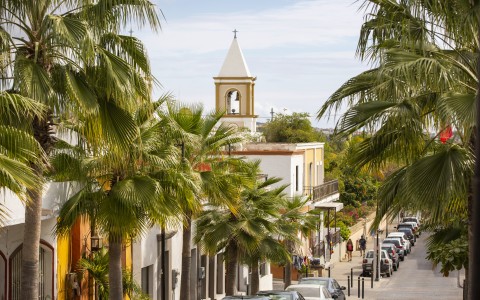 a street with cars and palm trees