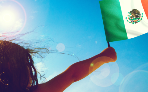 a person holding a green flag