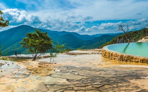 a pool with a tree and mountains in the background