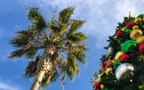 a palm tree with ornaments and a tree