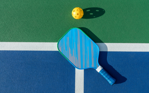 a paddle and ball on a court