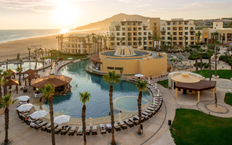a pool with palm trees and buildings in the background