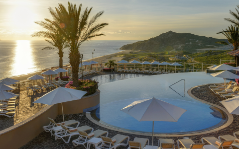 a pool with palm trees and umbrellas and a beach in the background