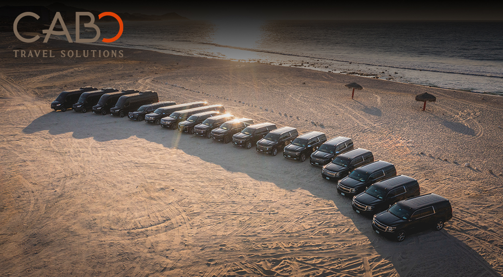 a row of black cars on a beach