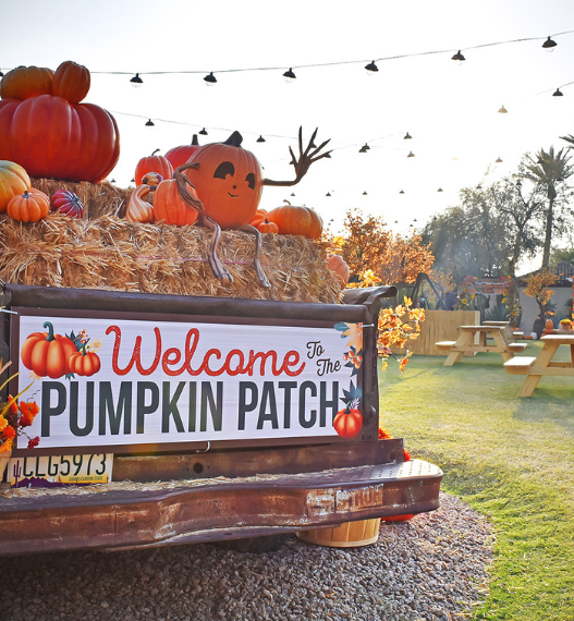 a pumpkin patch on a truck