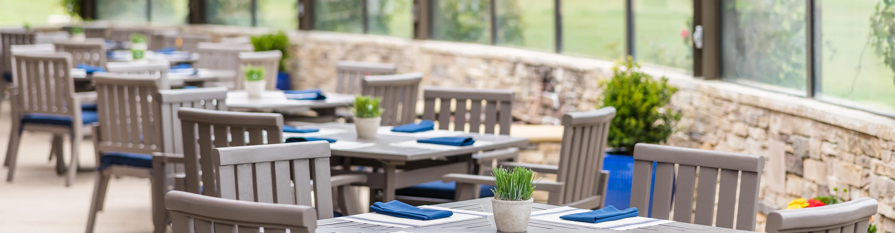 a table with chairs and a potted plant