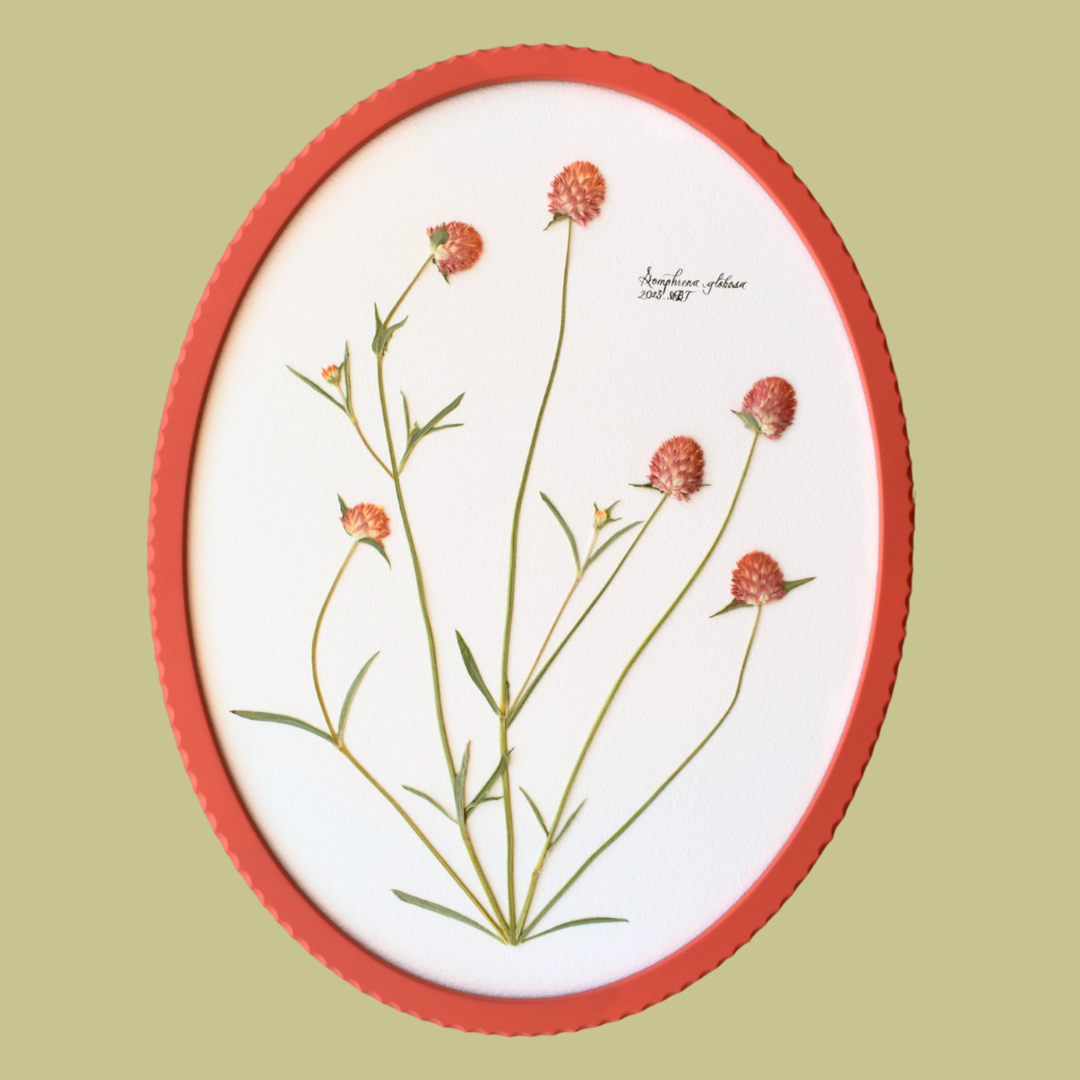 a flower in a frame