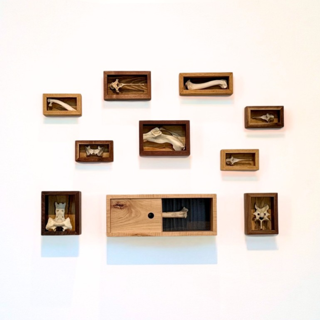 a wall with various wooden boxes and bones