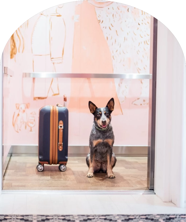 a dog sitting next to a suitcase