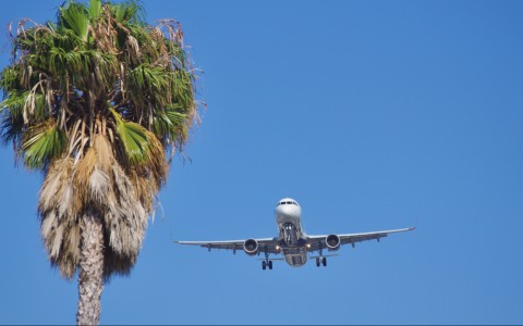 Los Cabos Continues to Expand Air Connectivity  Blog Post