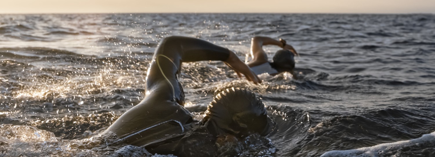 a group of people swimming in the water