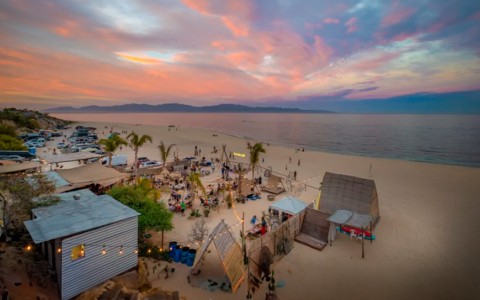 BajaWonderGrass: Bluegrass & Roots Music at its Best Blog Post